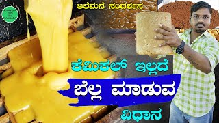 How to Make Organic Jaggery in Kannada  Bella Maduva Vidhana  Jaggery Making Process in Karnataka [upl. by Aneehsat]