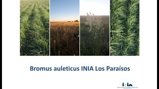 Reintroducción del Paspalum y Bromus [upl. by Dera551]