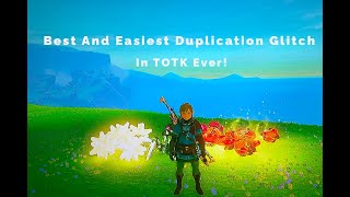 Most Simple and Best Duplication Glitch in TOTK [upl. by Dorion530]