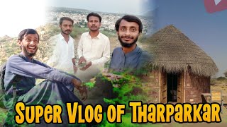 super Vlog of Tharparkar Pakistan tharparkar7737 [upl. by Newob]