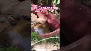 Parque Zoológico “El Centenario” Mérida [upl. by Adriel]