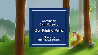 Der Kleine Prinz Hörbuch  Hörspiel 🌠 Antoine de SaintExupéry Original  Selbst Lesen ist blöd [upl. by Trebliw93]