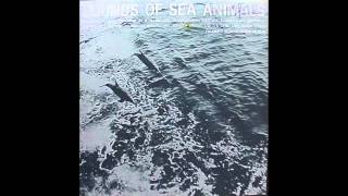 sounds of sea animals part 2 porpoise sounds [upl. by Chobot]