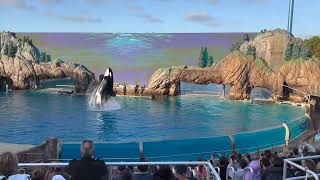 2021 San Diego SeaWorld Orca Show Highlight Fun Exciting Fantastic [upl. by Martsen831]