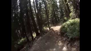 Downhill biking at Whitefish Mountain Resort [upl. by Chace]