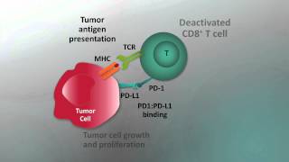 Immunotherapy for NSCLC  Video abstract 57550 [upl. by Nivej]