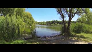 WTF Topham Pond Toronto Ontario [upl. by Lucienne]