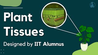 Plant Tissues Explained and Designed by IIT Alumnus [upl. by Rebane]