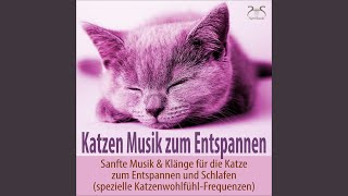 Heilende Musik für Katzen Beruhigende Melodien und Waldgeräusche zum Entspannen [upl. by Yrod]