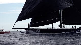 Les Voiles De Saint Tropez 2024  Maxis Day 1 [upl. by Trstram41]