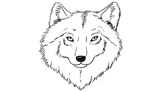 How to Draw a Realistic Wolf Face  StepbyStep Tutorial [upl. by Ilaw185]