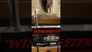 65 Creedmoor Vs 68 Western Which Is The Better Hunting Cartridge [upl. by Eeneg969]