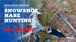 Snowshoe Hare Hunting  First Trip 2021 Season [upl. by Suoinuj]