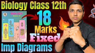 Most IMP Diagrams of Biology Class 12th newindianera By Prashant Bhaiya [upl. by Ottillia]