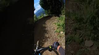 Bikepark Schladming😎 mtb downhill bikelife mountainbike magura insta360 [upl. by Anaihs721]