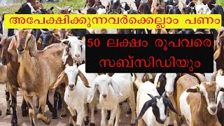 കന്നുകാലിമിഷന്റെസംരംഭകത്വവികസനപദ്ധതിEntrepreneurship Development Scheme of National LivestockMission [upl. by Imoan]