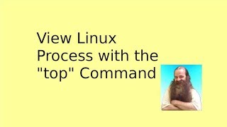 View Linux Processes with top [upl. by Salesin966]