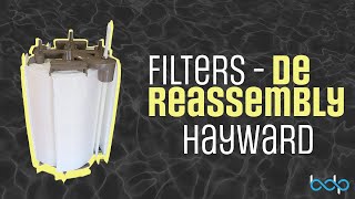 Filters  DE Reassembly Hayward [upl. by Haland]