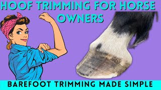 How To Trim Horse Hooves Barefoot Hoof Trimming For Beginners [upl. by Antrim]