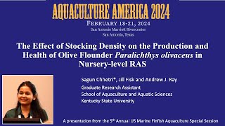 The Effect of Stocking Density on the Production and Health of Olive Flounder in Nurserylevel RAS [upl. by Vernita]