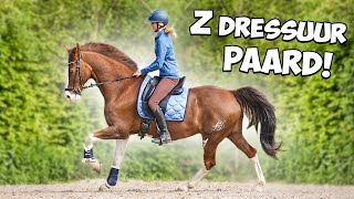 Ik mag op een Z DRESSUURPAARD RIJDEN 🤩🏆 [upl. by Ekusuy144]