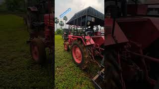 Mahindra Arjun novo 605 and Mahindra 415 cultivator performance in farmland tractor shortvideo [upl. by Iniretake]