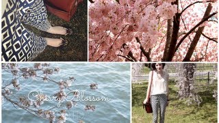 OOTD  DC Cherry Blossom [upl. by Arannahs]