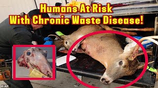 Zombie Deer Disease Explained Is It Dangerous To Humans Causes Of Zombie Deer Disease 2023 [upl. by Barnaby906]