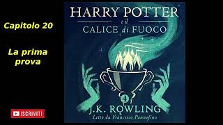 Harry Potter e il Calice di fuoco Audiolibro Italiano letto da Francesco Pannofino Capitolo 20 [upl. by Garap]