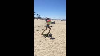 Champion Wiener Dog Finn Chases Beach Ball [upl. by Eerdua]