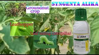 Syngenta Alika  అలికా Insecticide detail in Telugu  కీటక నివారిణి Software Engineer [upl. by Monika566]