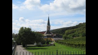 16  Wanderung durch die Weinberge zur THERESIENWARTE in BADEN [upl. by Aliemaj]