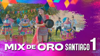 MIX DE ORO 1 SANTIAGO  CELINDA VARGAS celindavargas [upl. by Knute]