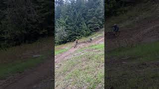 Lower Whistler Downhill  Bike Park 2024 mtb whistlerbikepark [upl. by Serolod]