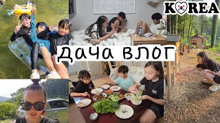 Как дети дачу полюбили  Новые питомцы  KOREA VLOG [upl. by Nitin546]