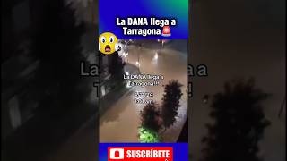 😱La DANA llega a Tarragona wow tarragona spain españa datoscuriosos datosquenosabias [upl. by Ojahtnamas84]