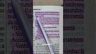 Apocalipse 221317 Deus biblia jesus palavradedeus bibliasagrada Cristo shorts apocalipse [upl. by Llehctim]