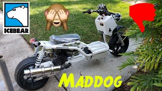 IceBear Maddog 2022 Full Assembly First Start and Ride Review BAD QUALITY CONTROL gy6 gy6nation [upl. by Odnumyar]