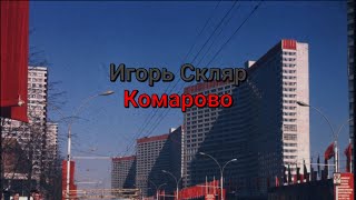 Игорь Скляр  Комарово текст песни [upl. by Munford]