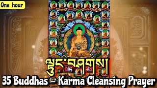 ☸35 Buddhas  Karma Cleansing Prayer 1 Hourལྟུང་བཤགསBuddhist Confession PrayerTibetan Prayer [upl. by Ainafetse]