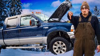 Watch This Before Buying A Used Ford F350 73 Powerstroke [upl. by Maguire139]