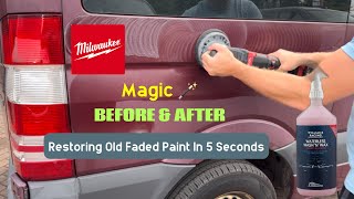 Easily Restore Faded Paintwork In Seconds  Car Valeting Guide [upl. by Oigroig]