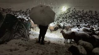 GECE YAĞAN KAR HER YERİ BEYAZA BÜRÜDÜ SOĞUK VE KAR [upl. by Eiclud]