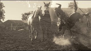 Matt Burch  Miles City Bucking Horse Sale [upl. by Ecire]