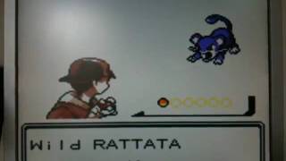 Pokemon Gold ROM How to download included [upl. by Letnom]