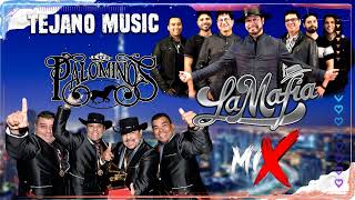 La Mafia y Los Palominos  Grandes Éxitos 2022  Tejano Music  Norteños Mix 2022 completo álbum [upl. by Annairba]