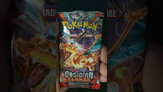 Opening Palafin amp Pachirisu Vibrant Paldea Mini Tin pokemon pokemoncardopening pokemontcg [upl. by Eceela]