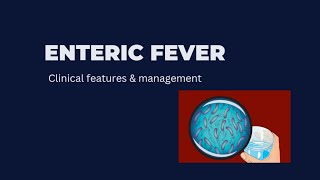 Enteric Fever [upl. by Marr994]