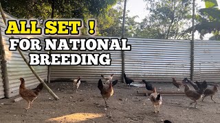 All set for national breeding [upl. by Eadnus]