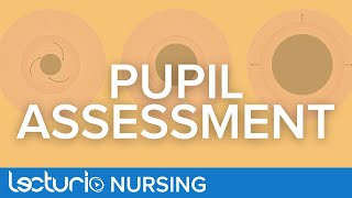 How To Perform a Pupil Assessment  Neurological Assessment [upl. by Shwalb]